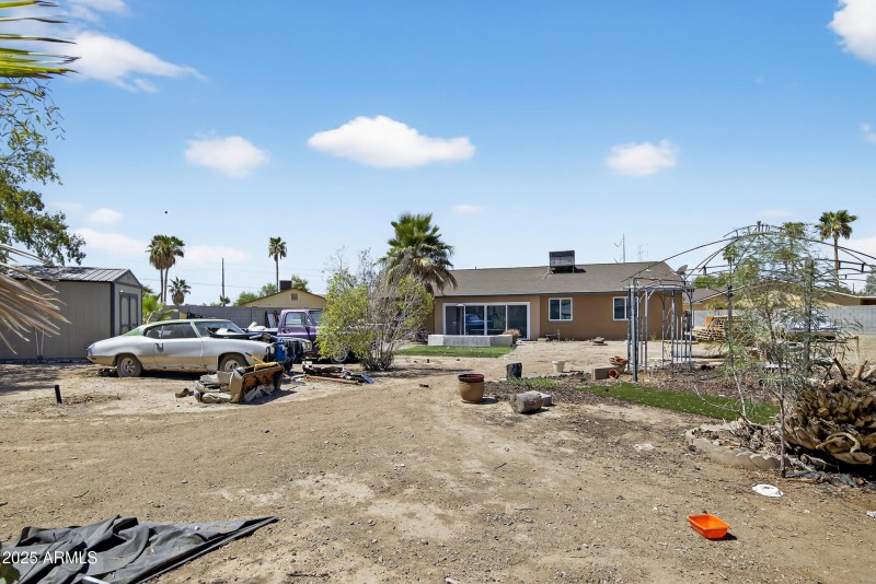 Backyard