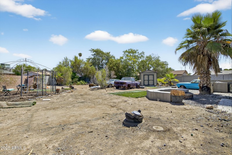 Backyard