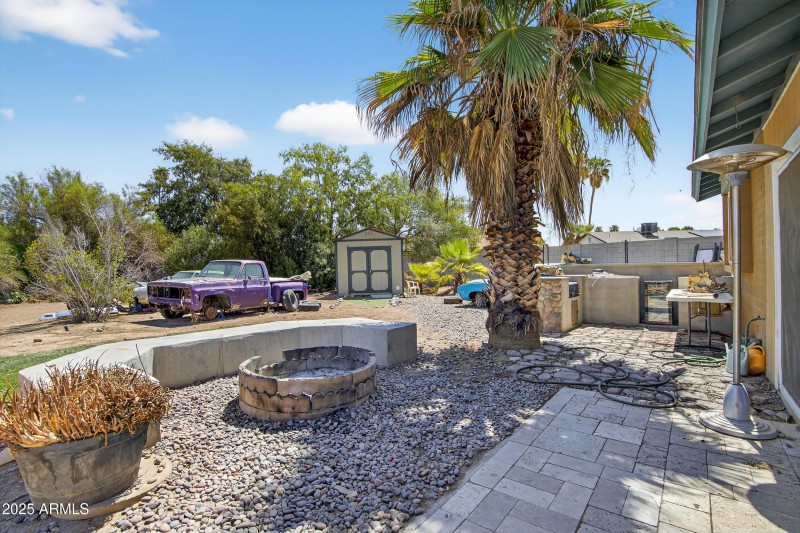 Backyard