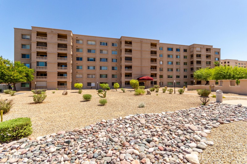 01 - Camelback