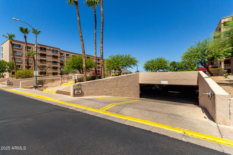 03 - Camelback