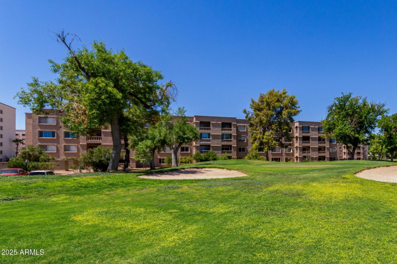 36 - Camelback