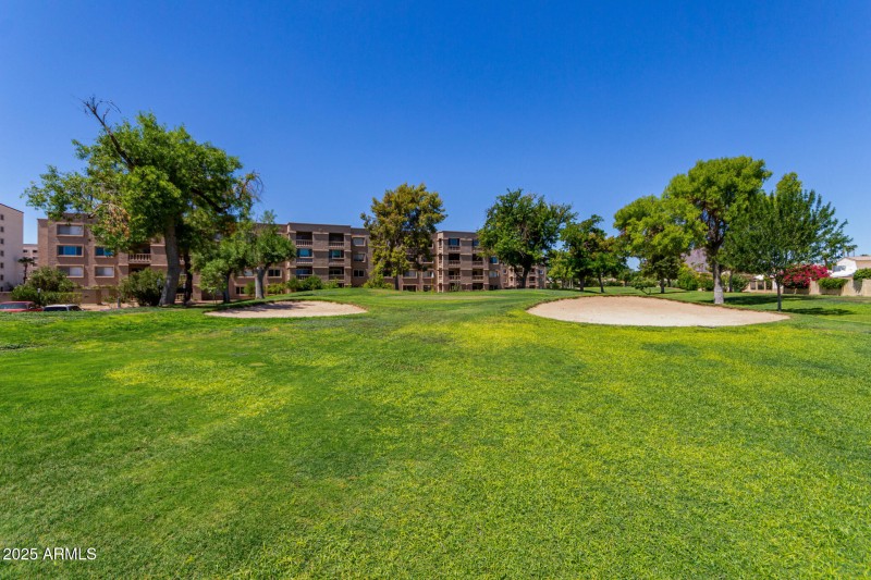 37 - Camelback