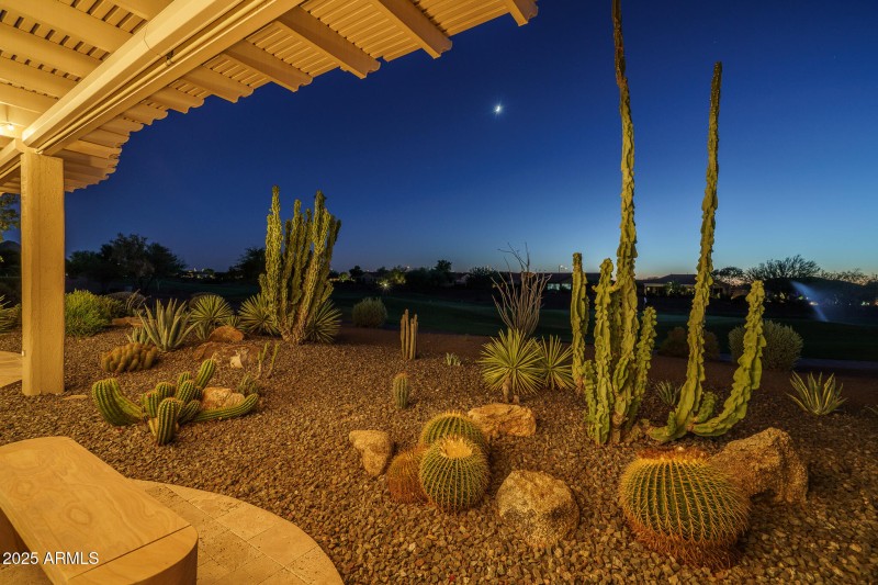 44) BACKYARD
