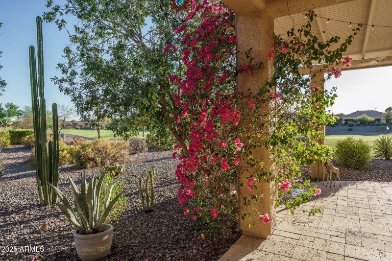 64) BACK PATIO