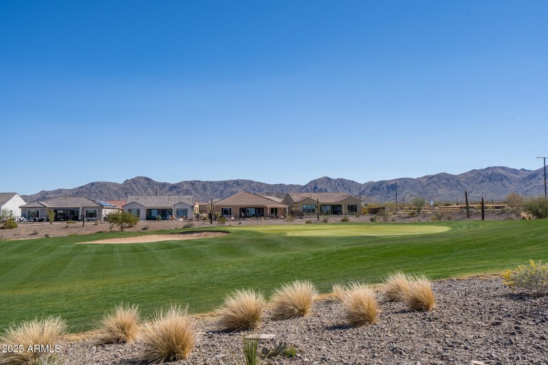 D3) GOLF