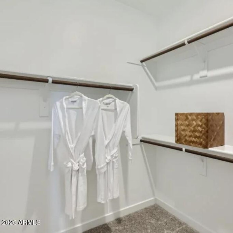 Owners Walk in Closet
