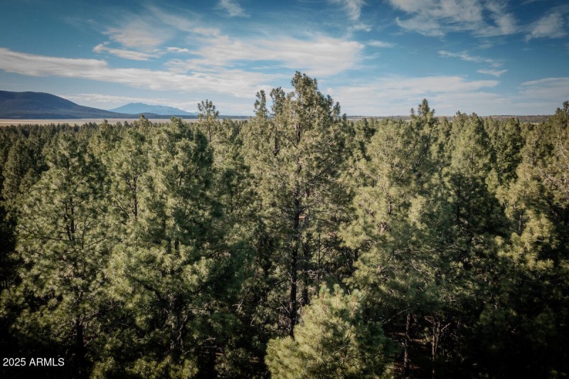Cabin-0351