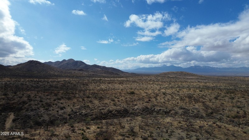 DJI_0401
