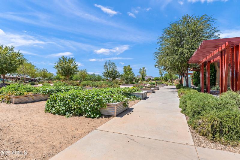 Community Garden