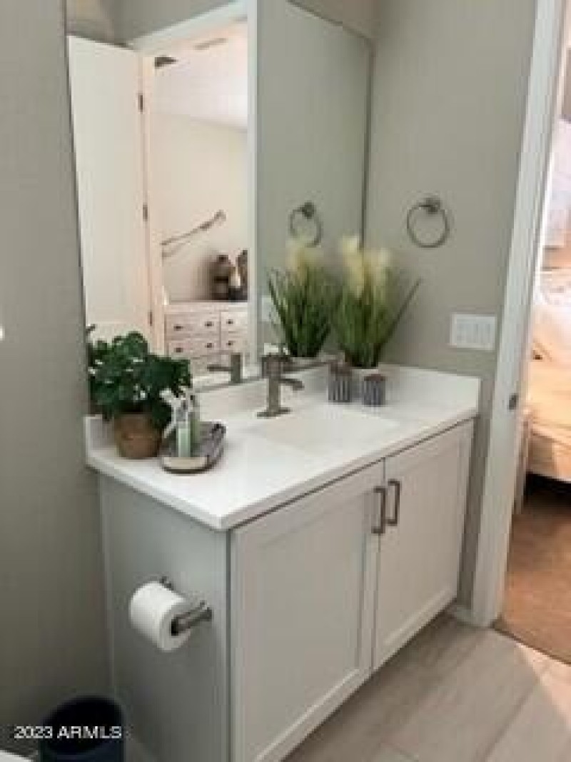 Wahalla guest bath sink