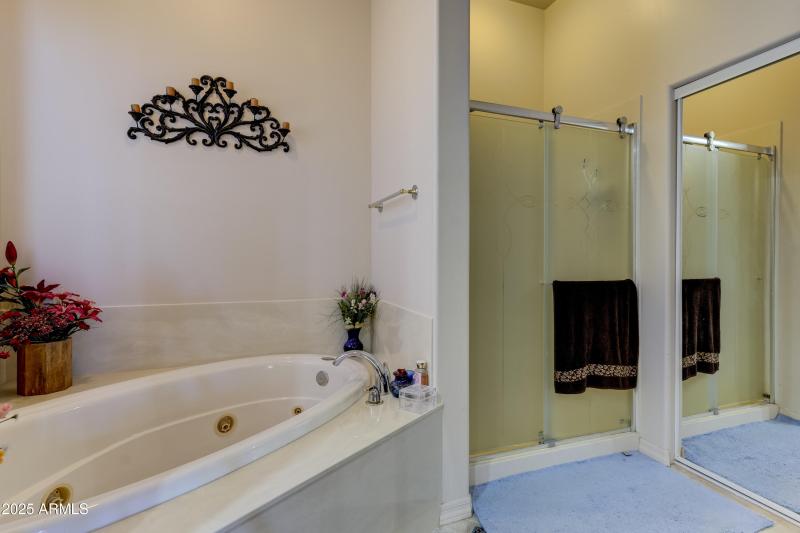 Primary Bathroom 2