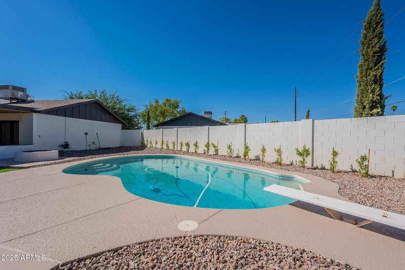 Backyard / Pool