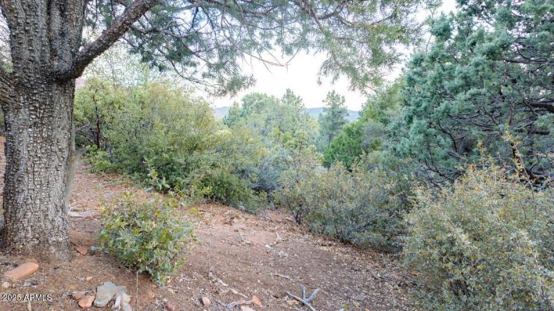 Lot 12 and 13 Pine, AZ-17
