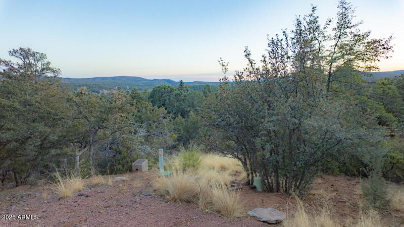 Lot 12 and 13 Pine, AZ-19