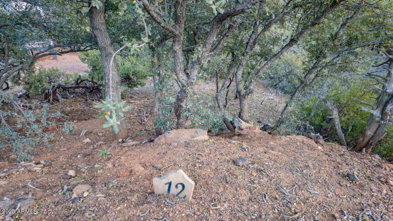 Lot 12 and 13 Pine, AZ-28