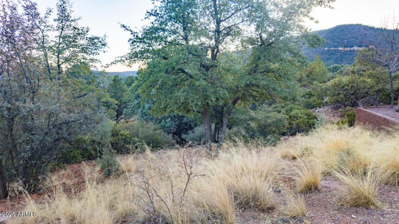 Lot 12 and 13 Pine, AZ-18