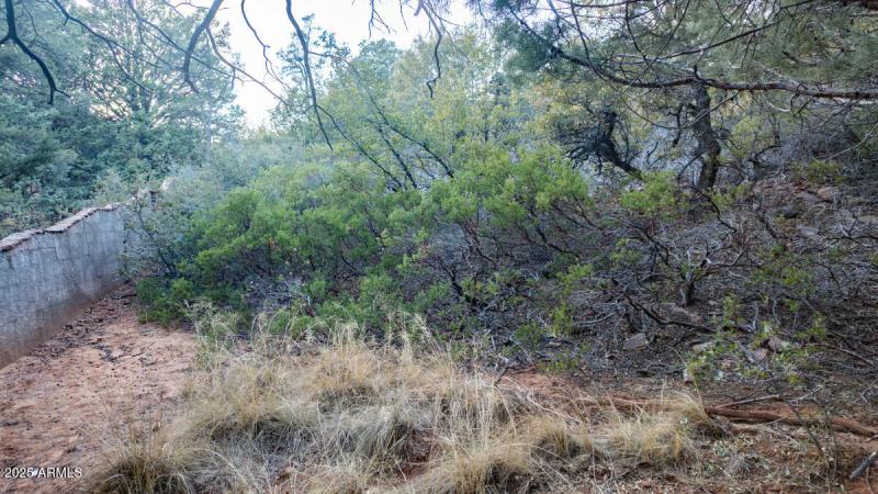 Lot 12 and 13 Pine, AZ-25