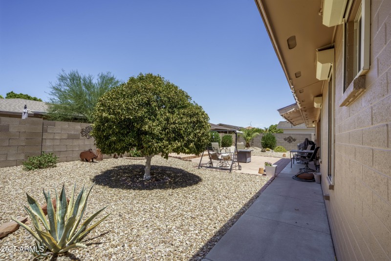 Back Yard