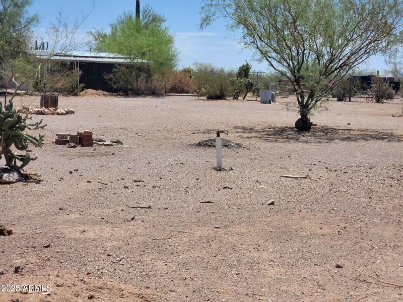 Resized_20250705_114615