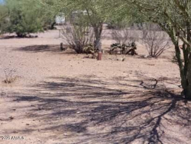 Resized_20250705_114655