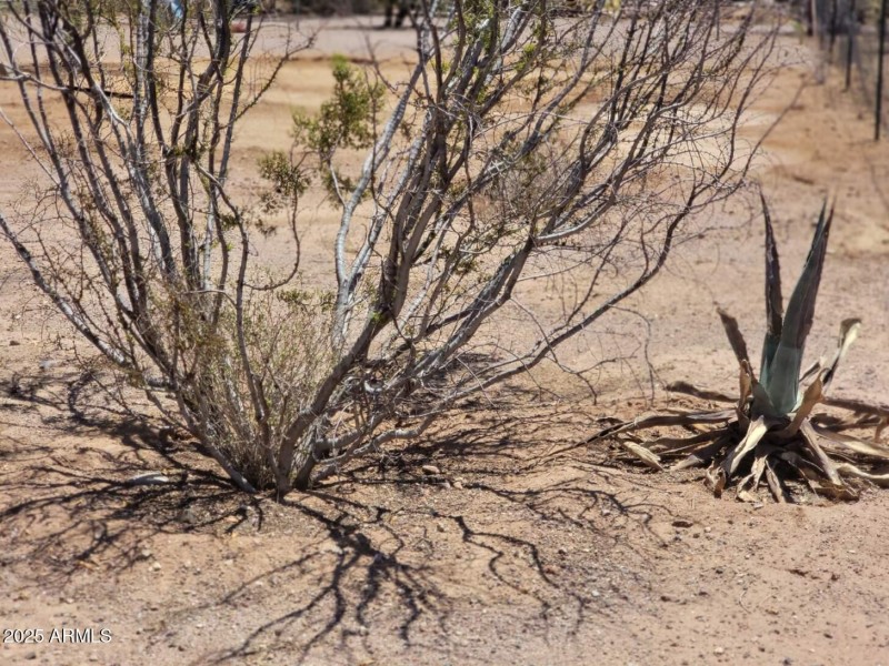 Resized_20250705_114657