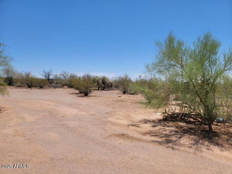 Resized_20250705_120016