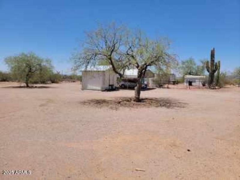 Resized_20250705_120159