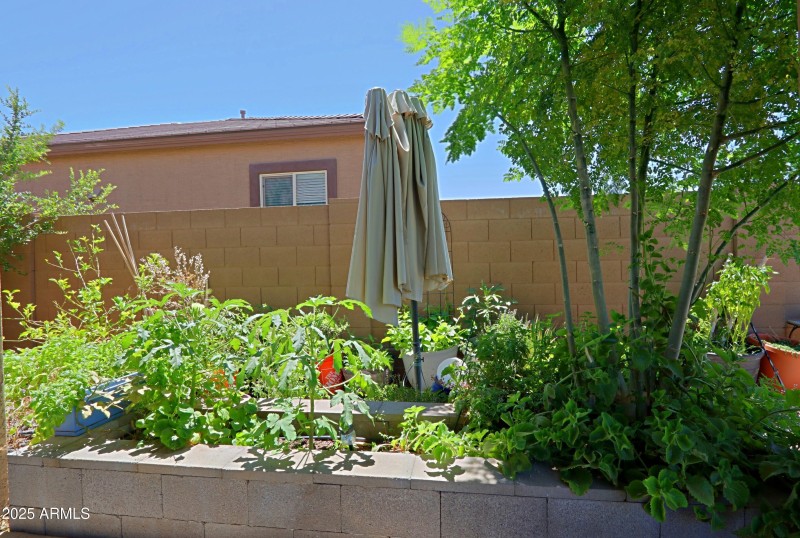 Backyard 2