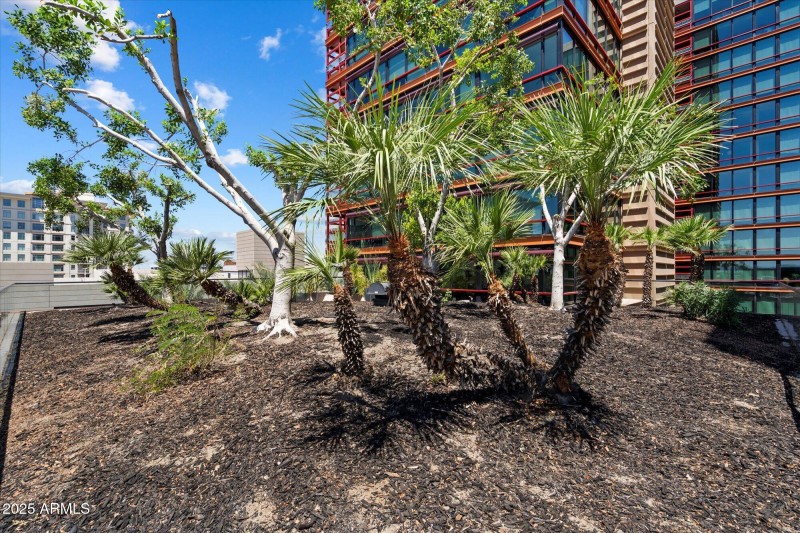 Partial View of Private Terrace