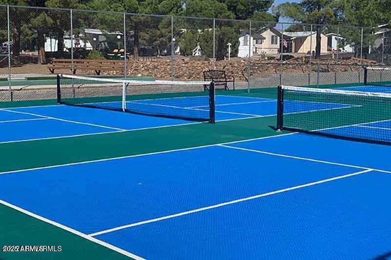 Pickle ball