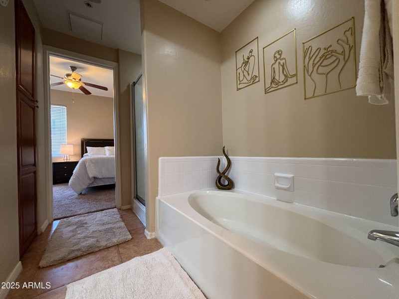 SanelaProBathroom2Tub