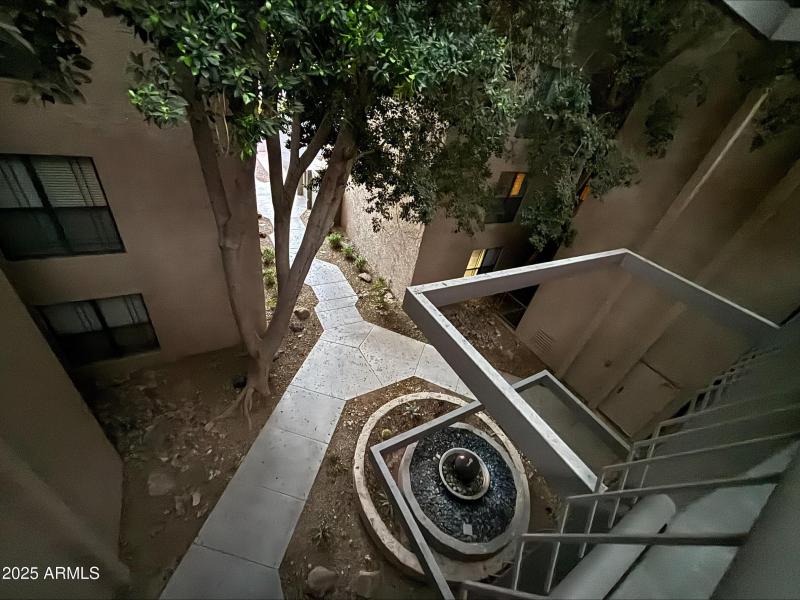 processed-25E96434-EB99-4D25-A9E6-1B4C1D