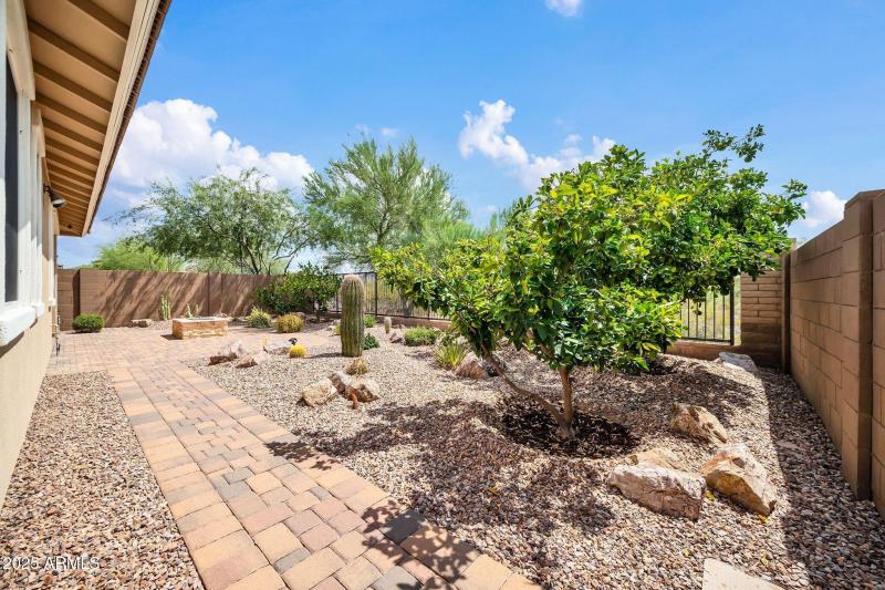 30641 N 137th Ave-44