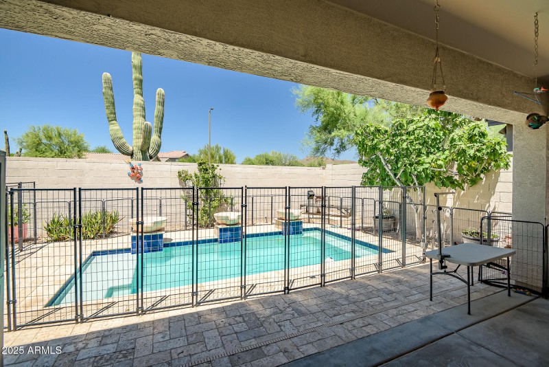 Pool & Patio