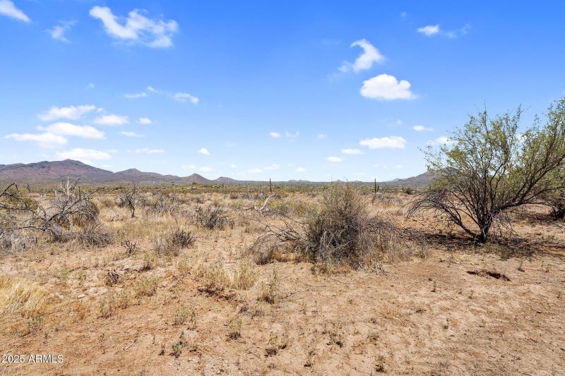 8-web-or-mls-DSC05941