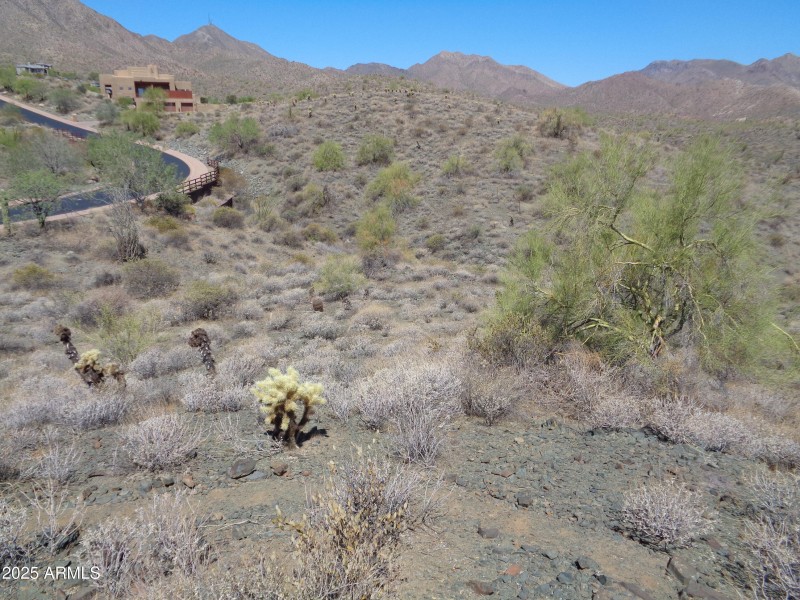 Landscape (2)