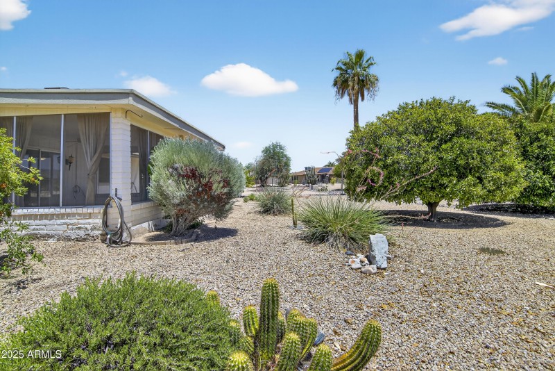 Landscaped back yard