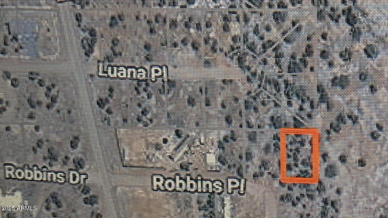 PXL_20250730_173245603~2