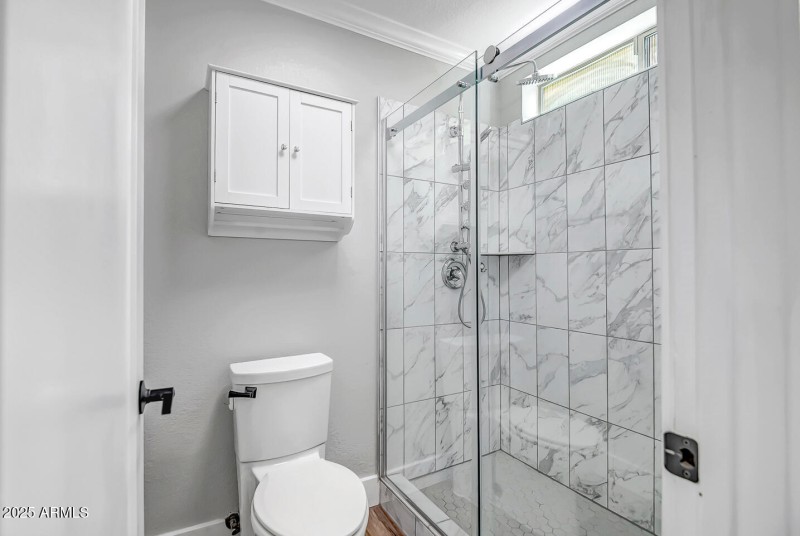 PRIMARY SHOWER