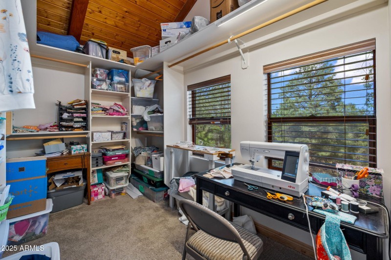 2032PonderosaTrail-HeberOvergaard-AZ-26
