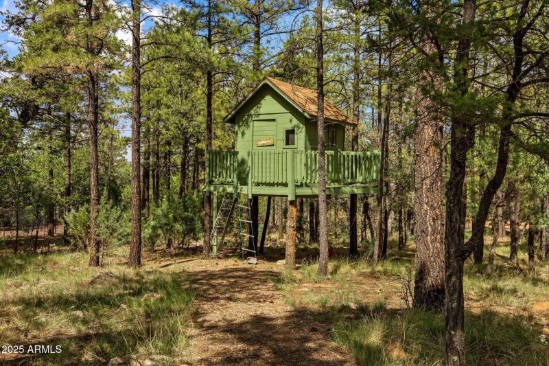 2032PonderosaTrail-HeberOvergaard-AZ-34