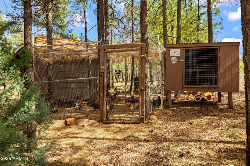 2032PonderosaTrail-HeberOvergaard-AZ-38