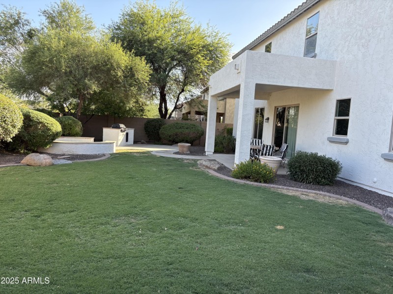 backyard