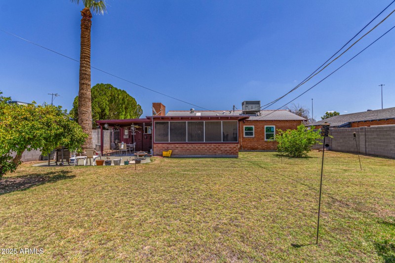 Grass Backyard