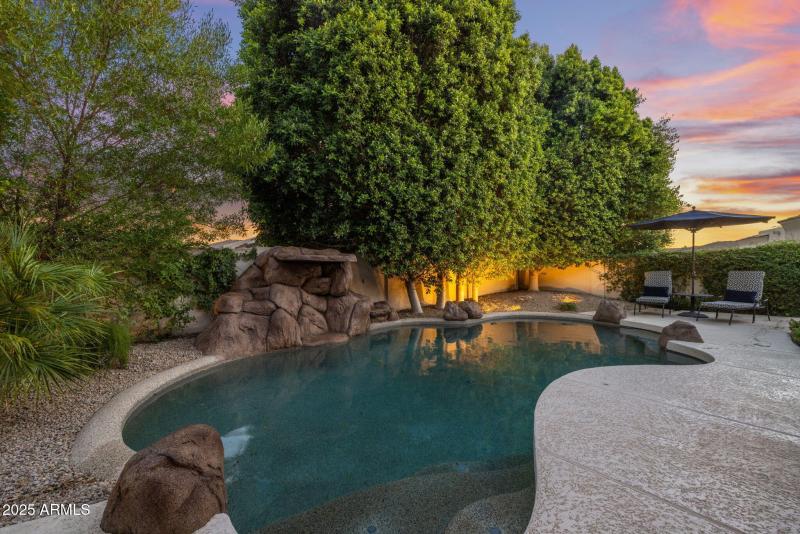 Pool/Backyard