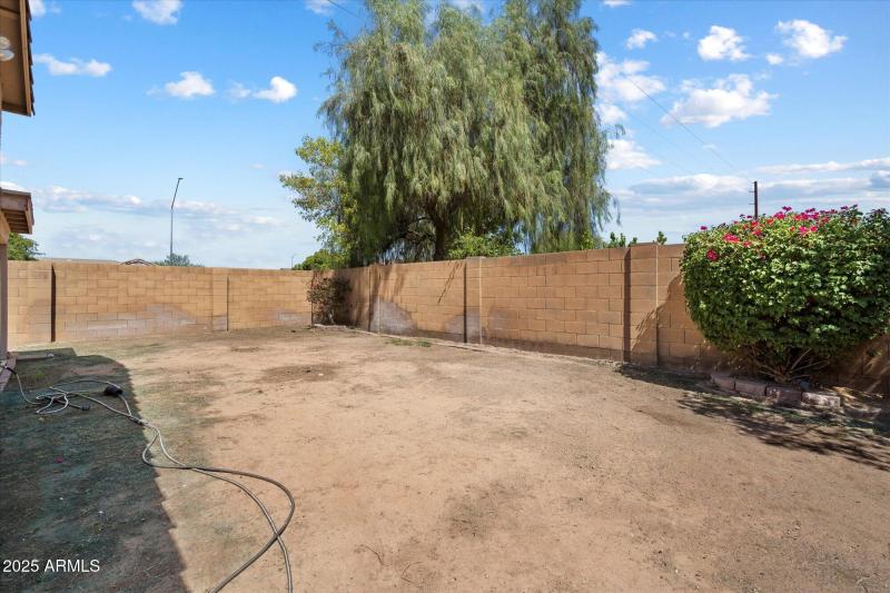 Backyard