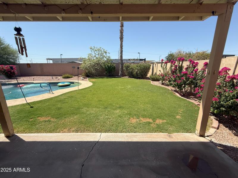 BACKYARD 3