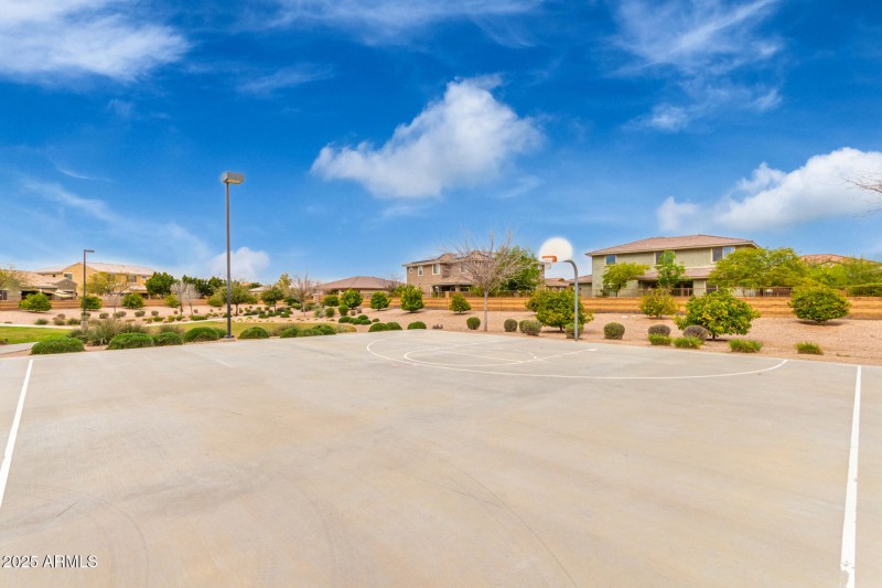 Basketball Court