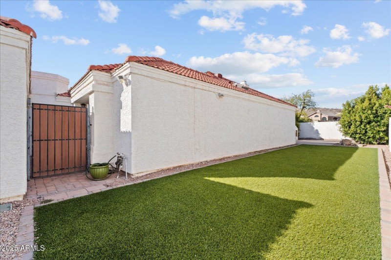 Turf Side Yard